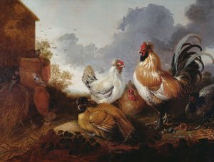 Volaille dans une basse-cour - Abraham van Calraet