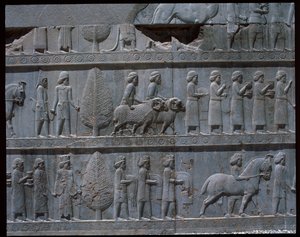 Vue des reliefs des escaliers est - Achaemenid