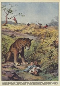 Aventures africaines - Achille Beltrame