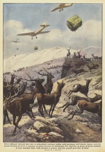 Des cerfs affamés ravitaillés par les airs
