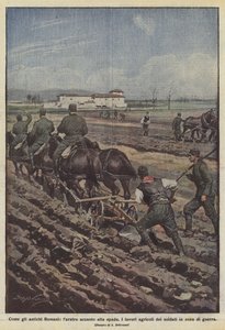 Comme les anciens Romains, la charrue à côté de l