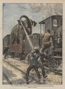 Comme un éléphant, fatigué de voyager en train, a empêché la marche du train qui le transportait - Achille Beltrame