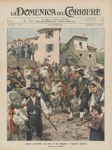 Costumes caractéristiques, un cortège de taureaux romagnols à Pontecorvo (Caserta)