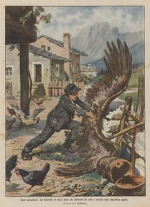 Héros inconscients, un garçon de dix ans affrontant seul et étranglant un magnifique aigle