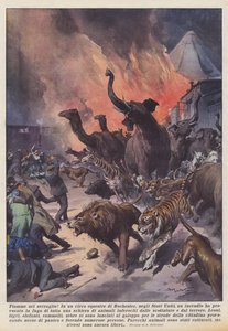 Flammes dans le sérail!