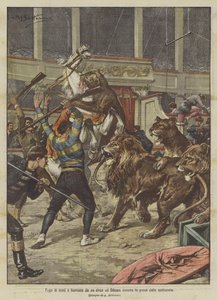 Fuite de lions et lionnes d