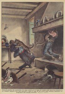 Chats de garde
