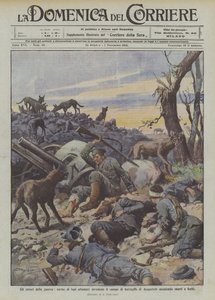Horreurs de la guerre, hordes de loups affamés envahissant le champ de bataille d