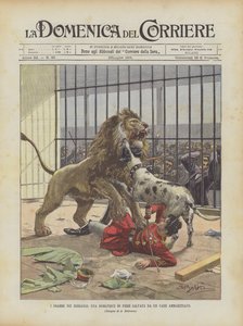 Les drames dans les ménageries, une dompteuse de fauves sauvée par un chien dressé - Achille Beltrame