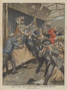 Les drames des ménageries, spectateur imprudent mordu par un tigre enragé près de Zurich - Achille Beltrame