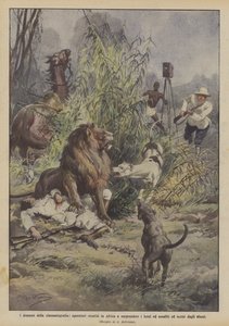 Les drames de la cinématographie, opérateurs en Afrique pour filmer des lions et attaqués - Achille Beltrame