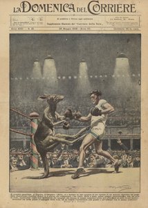 Le kangourou boxeur - Achille Beltrame
