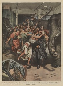 Le télégraphiste Bins, du Republic naufragé, contraint de se réfugier parmi les éléphants d