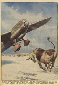 Le taureau et l