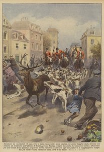 Chassé par des chasseurs et des amazones et par la meute canine implacable, un cerf s