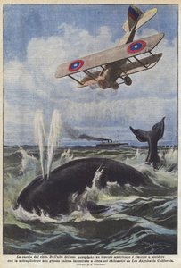 La chasse depuis le ciel - Achille Beltrame