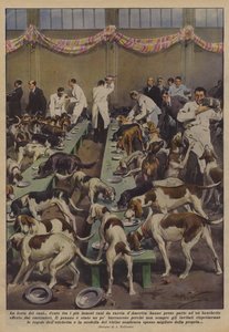 La fête des chiens - Achille Beltrame