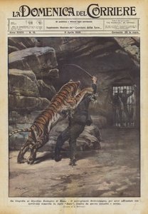 La tragédie au Jardin Zoologique de Rome - Achille Beltrame