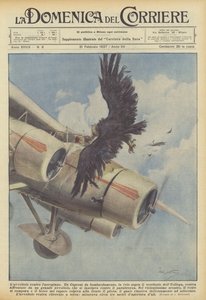 Le vautour contre l