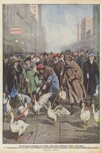 Les extravagances américaines, un Derby des oies, sur Madison Avenue à New York, pour l
