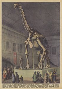 Le squelette du plus grand animal terrestre jamais existé, le brachiosaure