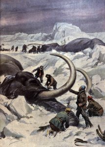 Mammouths au pôle Nord - Achille Beltrame
