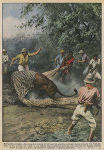 En Afrique orientale, deux Européens à la recherche de bêtes pour un jardin zoologique ont attiré - Achille Beltrame