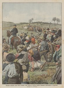 Huit mille paysans près de Bari envahissent de vastes étendues de terres considérées comme domaniales en se substituant aux propriétaires - Achille Beltrame