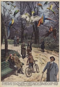 En se promenant dans les forêts près de Londres et surtout dans celle d