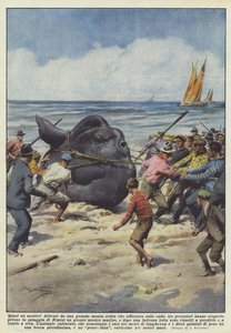 Presque un monstre!