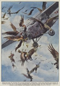 Rivaux dans le ciel