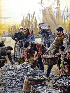 Pêche à la sardine en Bretagne en 1903 illustration d
