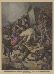 Collision ferroviaire sensationnelle, fuite de bêtes féroces, notamment de reptiles - Achille Beltrame