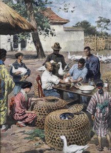 Jardin du Palais Impérial de Tokyo : vaccination et assistance vétérinaire pour les canards pour les protéger du choléra. Illustration d