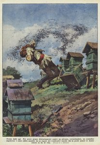 Tué par les abeilles