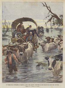 Un épisode des inondations en Piémont, la fuite des habitants à travers les eaux inondées - Achille Beltrame