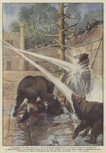 Un drame dans la Fosse aux ours, à Berne