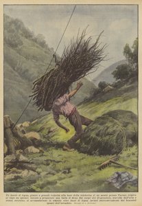 Un fagot de bois, arrivé à grande vitesse à la base du téléphérique d