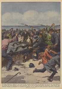 Un poulpe gigantesque, exposé dans un bassin sur une plage près de Toulon, a saisi - Achille Beltrame