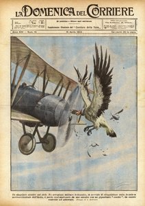 Un affrontement singulier dans le ciel