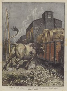 Un taureau se jetant contre un train de marchandises et le faisant dérailler, près de la gare de Belmonte Calabro