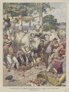 Une fuite émouvante d