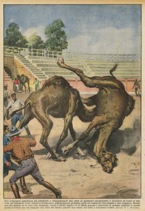 Une compagnie américaine organise à Constantinople une série de spectacles caractéristiques et non violents - Achille Beltrame