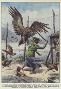 Une femme contre un aigle - Achille Beltrame
