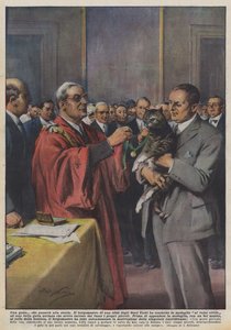 Un chat qui passera à l