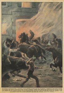 Un massacre de chevaux de course