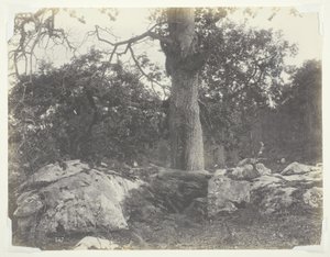 Forêt et rochers, Fontainebleau - Achille Quinet