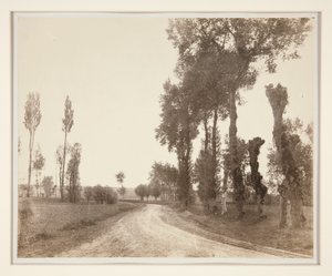 Archicourt, France - Adalbert Cuvelier