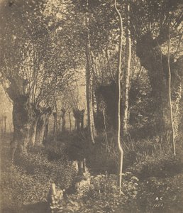 [Paysage, Arras], 1852 - Adalbert Cuvelier