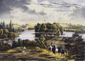 Vue d